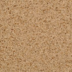 Dixie Home Carpet Semitones G5256 35309