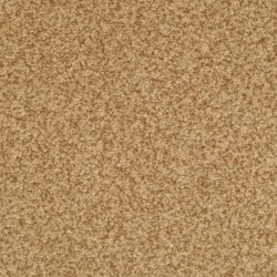 Dixie Home Carpet Semitones G5256 38712