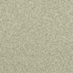 Dixie Home Carpet Semitones G5256 53530
