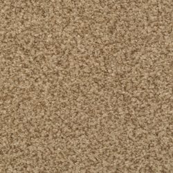 Dixie Home Carpet Semitones G5256 77720