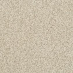 Dixie Home Carpet Semitones G5256 81718