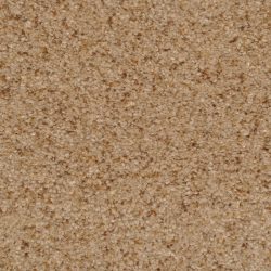 Dixie Home Carpet Chromatic Touch G5257 36213