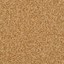 Dixie Home Carpet Chromatic Touch G5257 37308