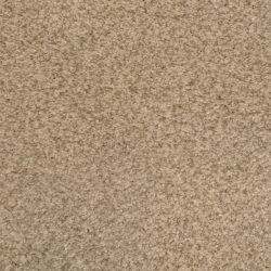 Dixie Home Carpet Chromatic Touch G5257 76719