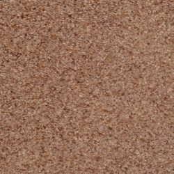 Dixie Home Carpet Chromatic Touch G5257 79301
