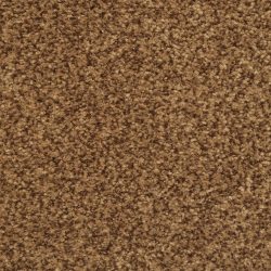 Dixie Home Carpet Chromatic Touch G5257 79716