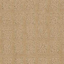 Dixie Home Carpet Traditions G5263 20110