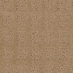 Dixie Home Carpet Traditions G5263 20115