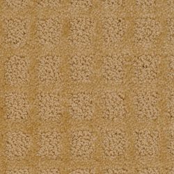 Dixie Home Carpet Traditions G5263 20118
