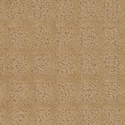 Dixie Home Carpet Traditions G5263 20120