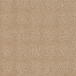 Dixie Home Carpet Traditions G5263 20122