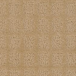 Dixie Home Carpet Traditions G5263 20123