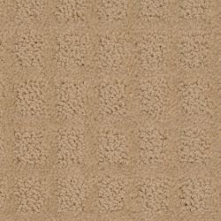 Dixie Home Carpet Traditions G5263 20124