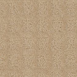 Dixie Home Carpet Traditions G5263 20125