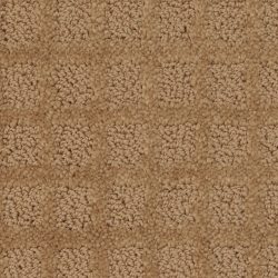 Dixie Home Carpet Traditions G5263 30121