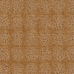 Dixie Home Carpet Traditions G5263 40119