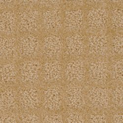 Dixie Home Carpet Traditions G5263 40126