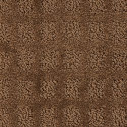 Dixie Home Carpet Traditions G5263 70117