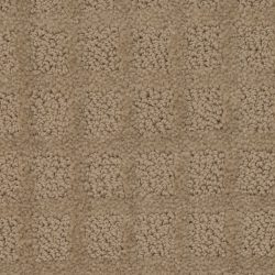 Dixie Home Carpet Traditions G5263 80116