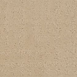 Dixie Home Carpet My Style G5264 10114