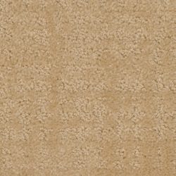 Dixie Home Carpet My Style G5264 20110