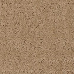 Dixie Home Carpet My Style G5264 20115