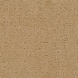 Dixie Home Carpet My Style G5264 20120