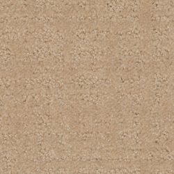 Dixie Home Carpet My Style G5264 20122
