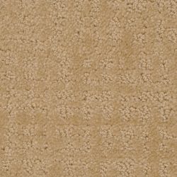 Dixie Home Carpet My Style G5264 20123