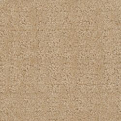 Dixie Home Carpet My Style G5264 20125