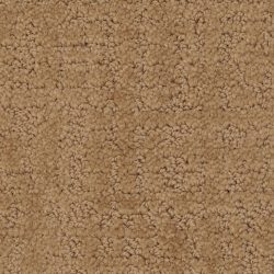 Dixie Home Carpet My Style G5264 30121