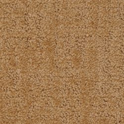 Dixie Home Carpet My Style G5264 40119