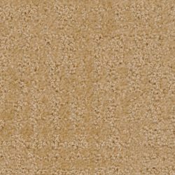 Dixie Home Carpet My Style G5264 40126