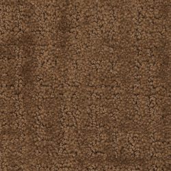 Dixie Home Carpet My Style G5264 70117