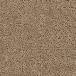 Dixie Home Carpet My Style G5264 80116