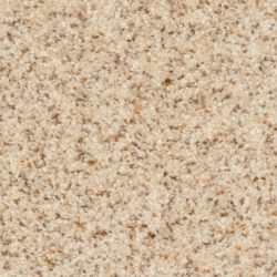 Dixie Home Carpet Treasured Moment G5266 10174