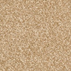 Dixie Home Carpet Treasured Moment G5266 20170