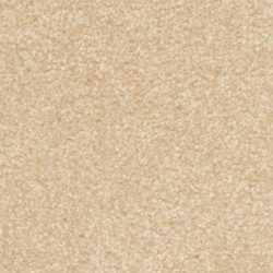 Dixie Home Carpet Treasured Moment G5266 20174