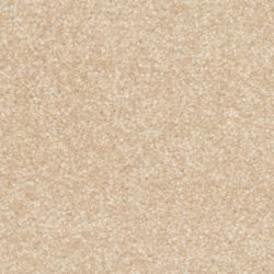 Dixie Home Carpet Treasured Moment G5266 20175