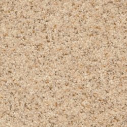 Dixie Home Carpet Treasured Moment G5266 20179