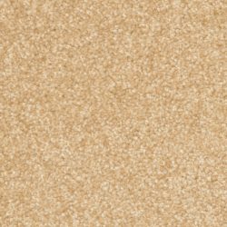 Dixie Home Carpet Treasured Moment G5266 20180