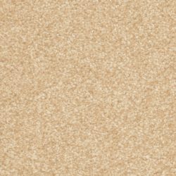 Dixie Home Carpet Treasured Moment G5266 20183