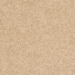 Dixie Home Carpet Treasured Moment G5266 20184