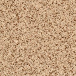Dixie Home Carpet Treasured Moment G5266 30171