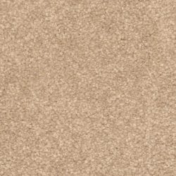 Dixie Home Carpet Treasured Moment G5266 30176