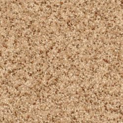 Dixie Home Carpet Treasured Moment G5266 30182