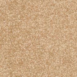 Dixie Home Carpet Treasured Moment G5266 30185