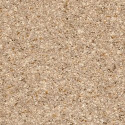 Dixie Home Carpet Treasured Moment G5266 80172