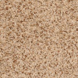 Dixie Home Carpet Treasured Moment G5266 80181