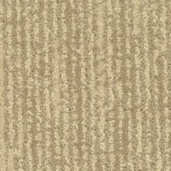 Dixie Home Carpet Seagate G5267 20160